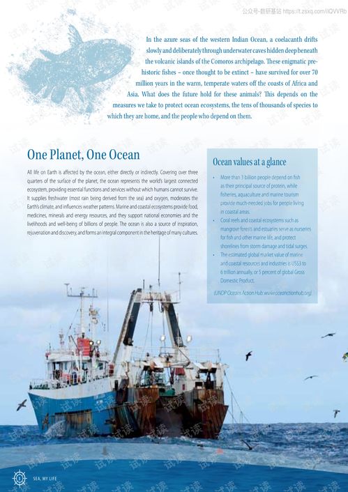 A Journey into the Ocean Sanctuaries: Reflections on a 2020 Premium Report and Land-Freight Forwarding Trajectories